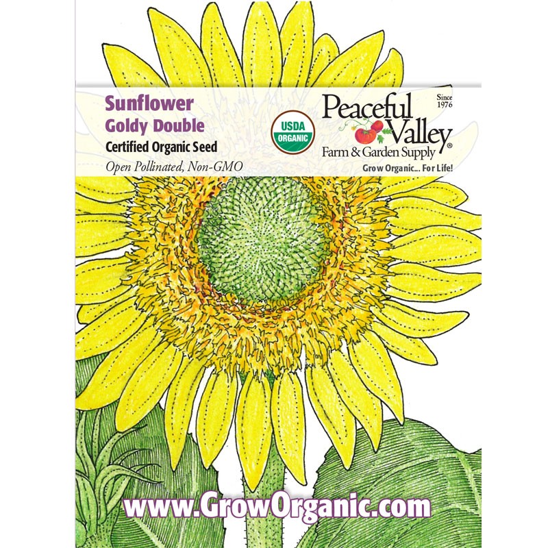 Free Free 253 Clipart Sunflower Seeds SVG PNG EPS DXF File
