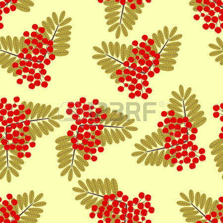 485 Mountain Ash Berries Stock Vector Illustration And Royalty.