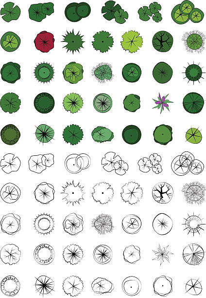 Ornamental Garden Clip Art, Vector Images & Illustrations.