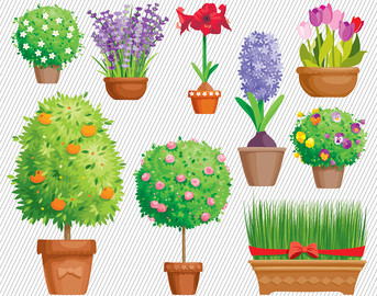 Garden plants clipart.