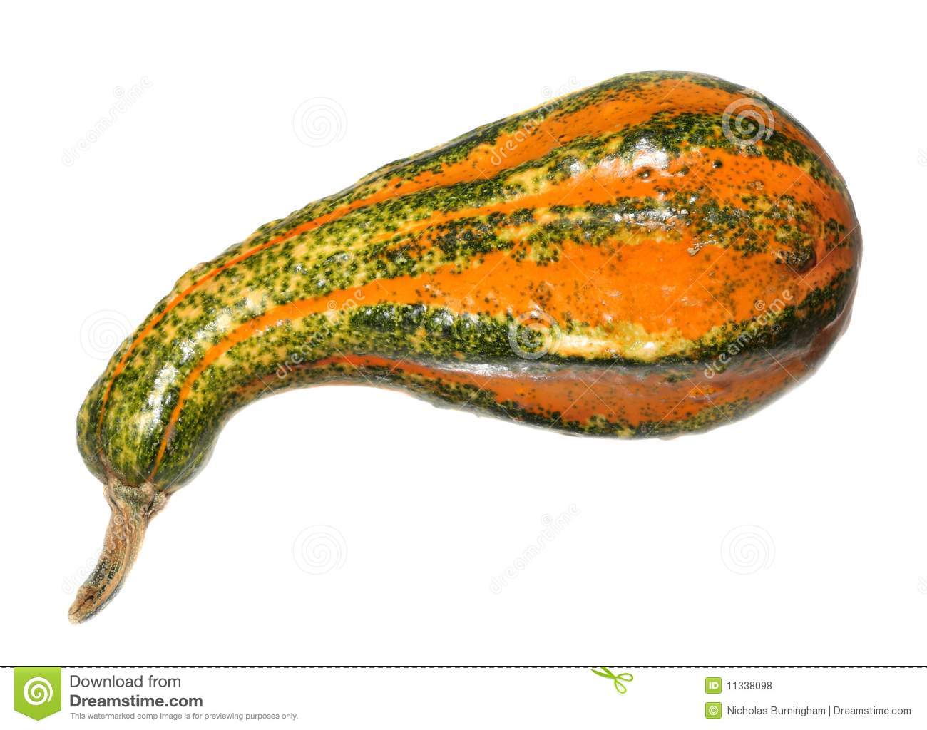 Decorative Gourd Royalty Free Stock Photo.