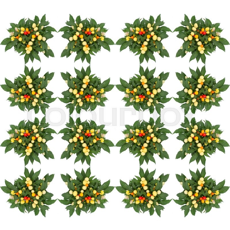 Buy Stock Photo "Ornamental Pepper seamless pattern background.