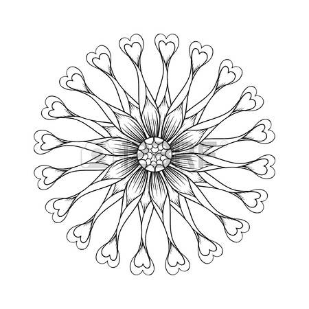 98 Osteospermum Stock Vector Illustration And Royalty Free.
