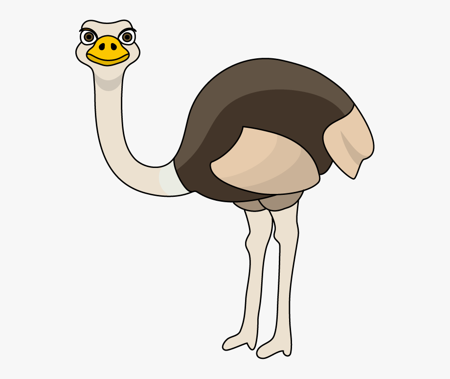 Ostrich Clip Art.