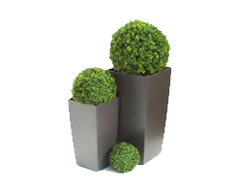 Outdoor Potted Plants Png.