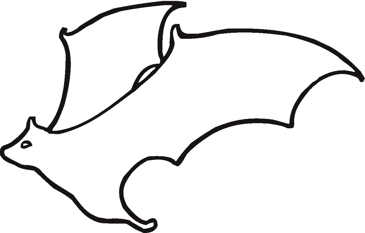 Top How To Draw A Bat Outline  Check it out now 