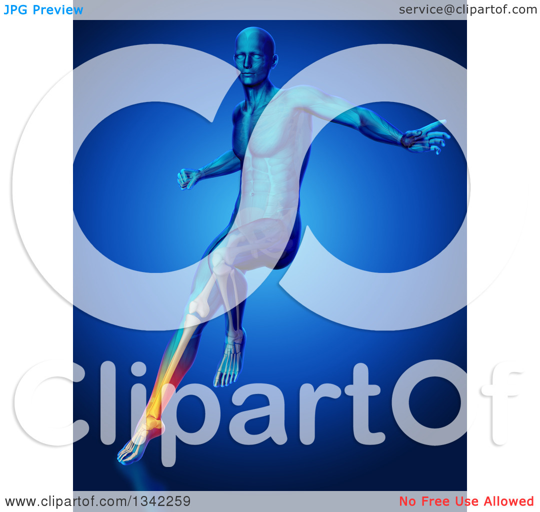 Clipart of a 3d Anatomical Man Jumping and Landing with Visible.