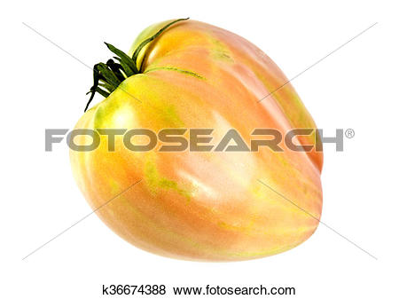 Pictures of Ox Heart Tomato k36674388.