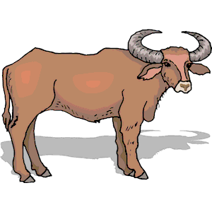 Free Ox Cliparts, Download Free Clip Art, Free Clip Art on.