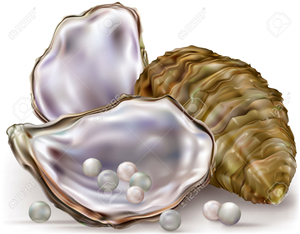 Pearl Oyster Clipart.