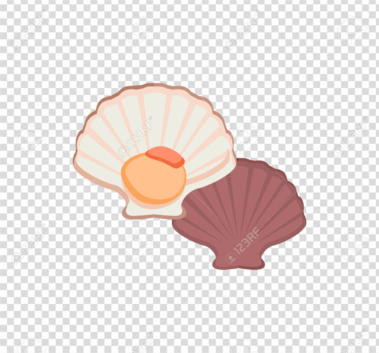 Oysters In Colour Variant. Seafood Concept Icons In Flat Style.