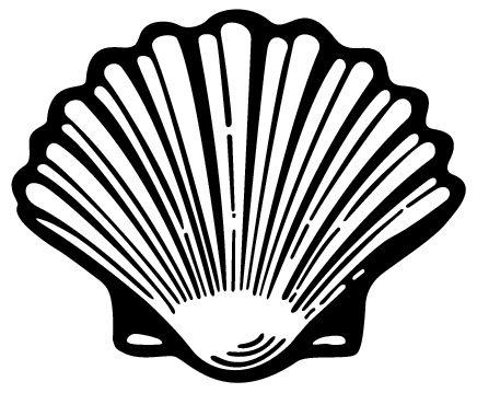 Oyster shell clipart - Clipground