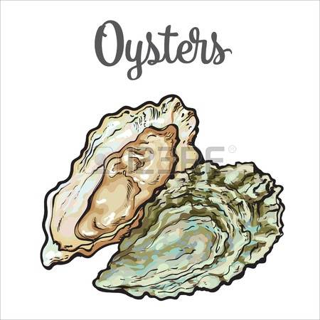 Pacific Oyster Stock Photos Images. Royalty Free Pacific Oyster.
