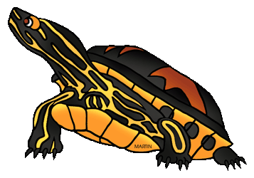 Painted Turtle Clipart.