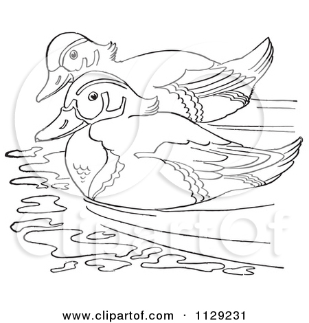 Cartoon Clipart Of An Outlined Wood Duck Pair Swimming.