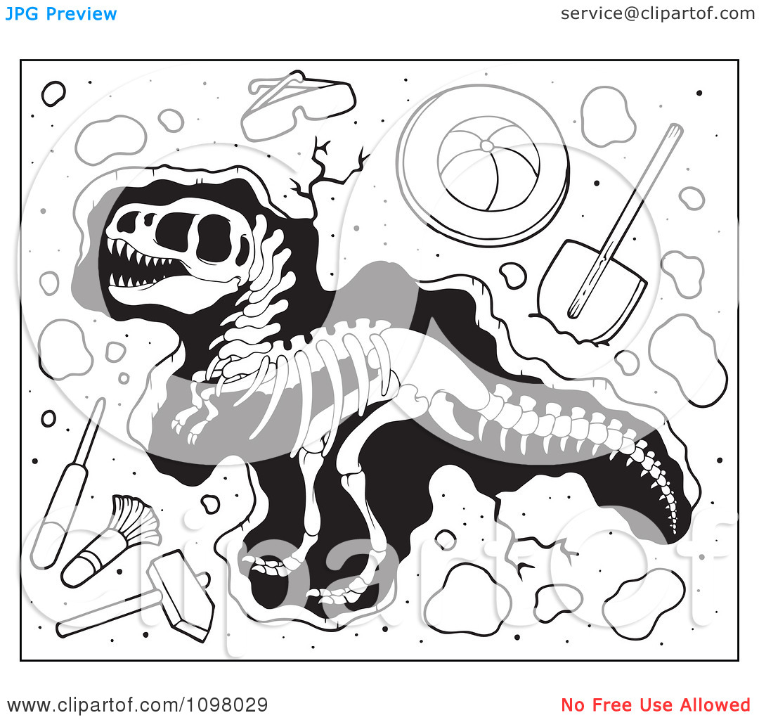 Palaeonthologie clipart - Clipground