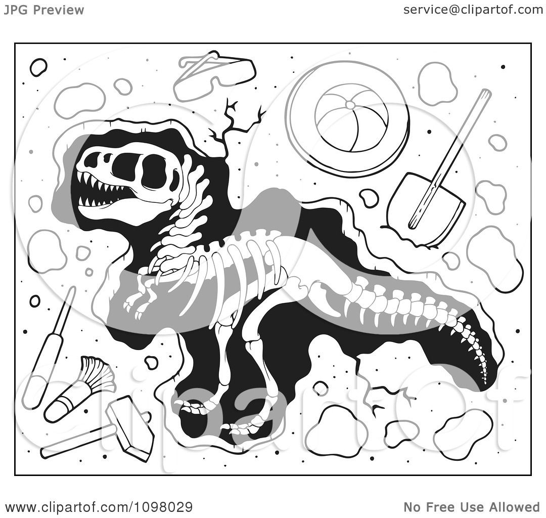 Clipart Paleontology Tools And Uncovered Dinosaur Bones.