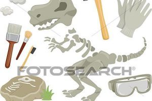 Paleontologist tools clipart 1 » Clipart Portal.