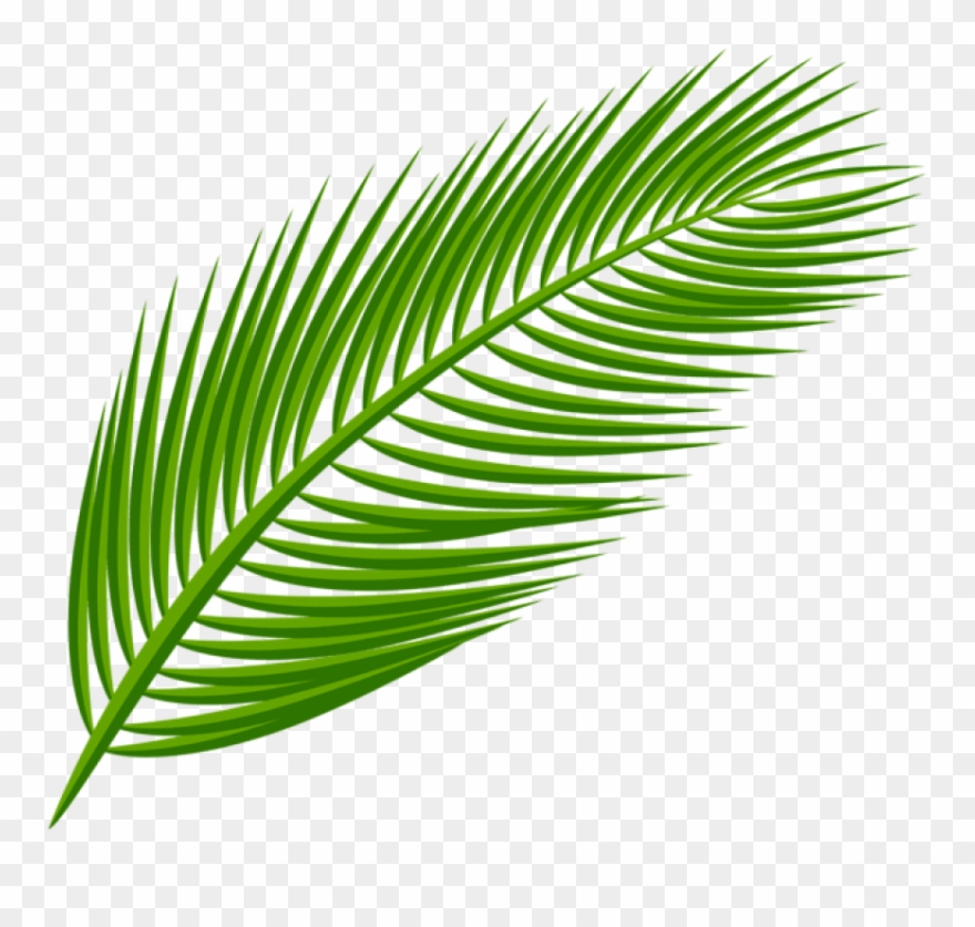 Palm Sunday Clipart Transparent : Palm Sunday - St Mary Magdalene