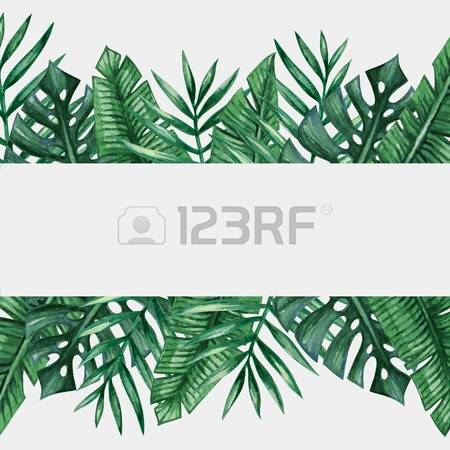 9,045 Palm Garden Stock Vector Illustration And Royalty Free Palm.