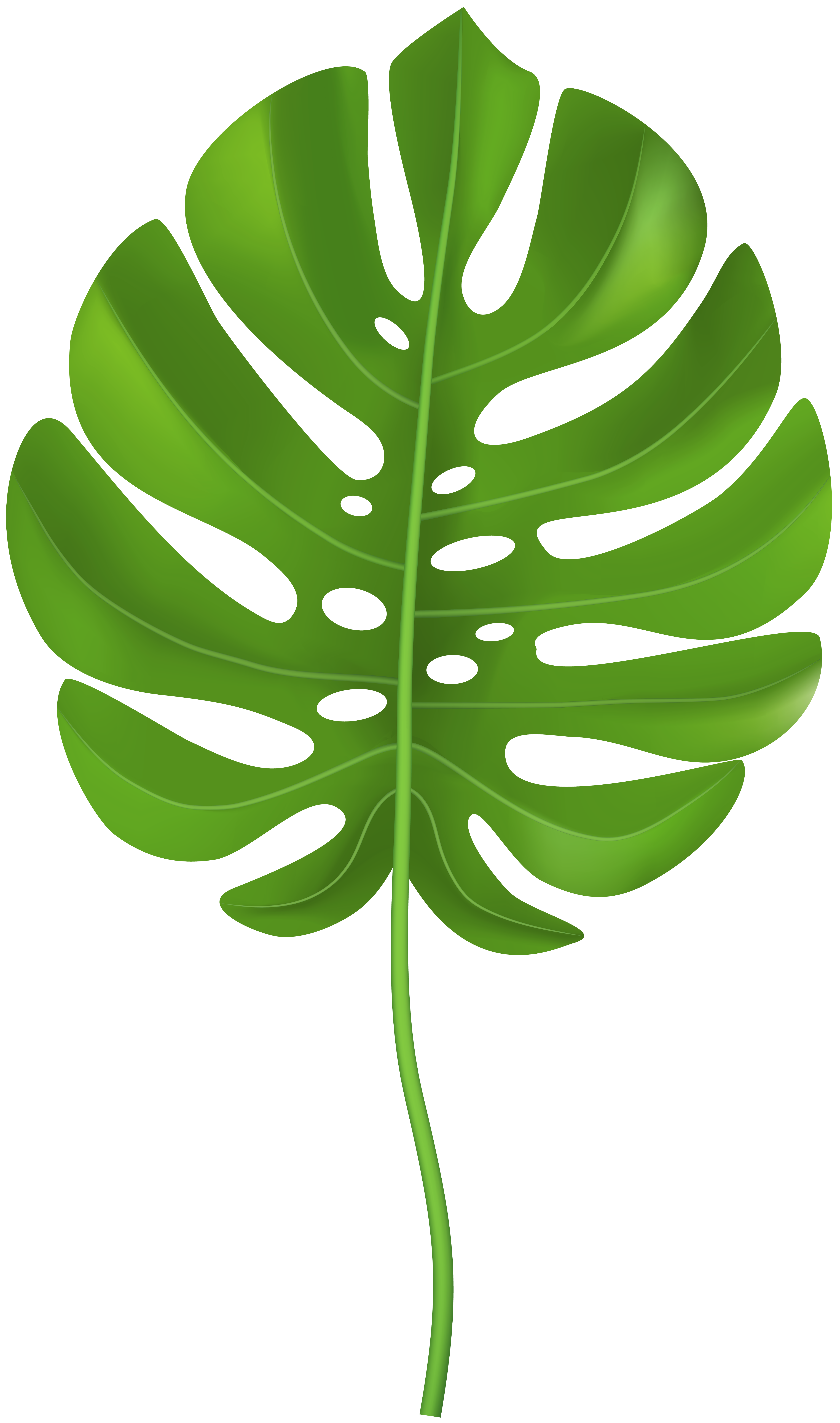 palm leaf clip art 10 free Cliparts | Download images on Clipground 2022
