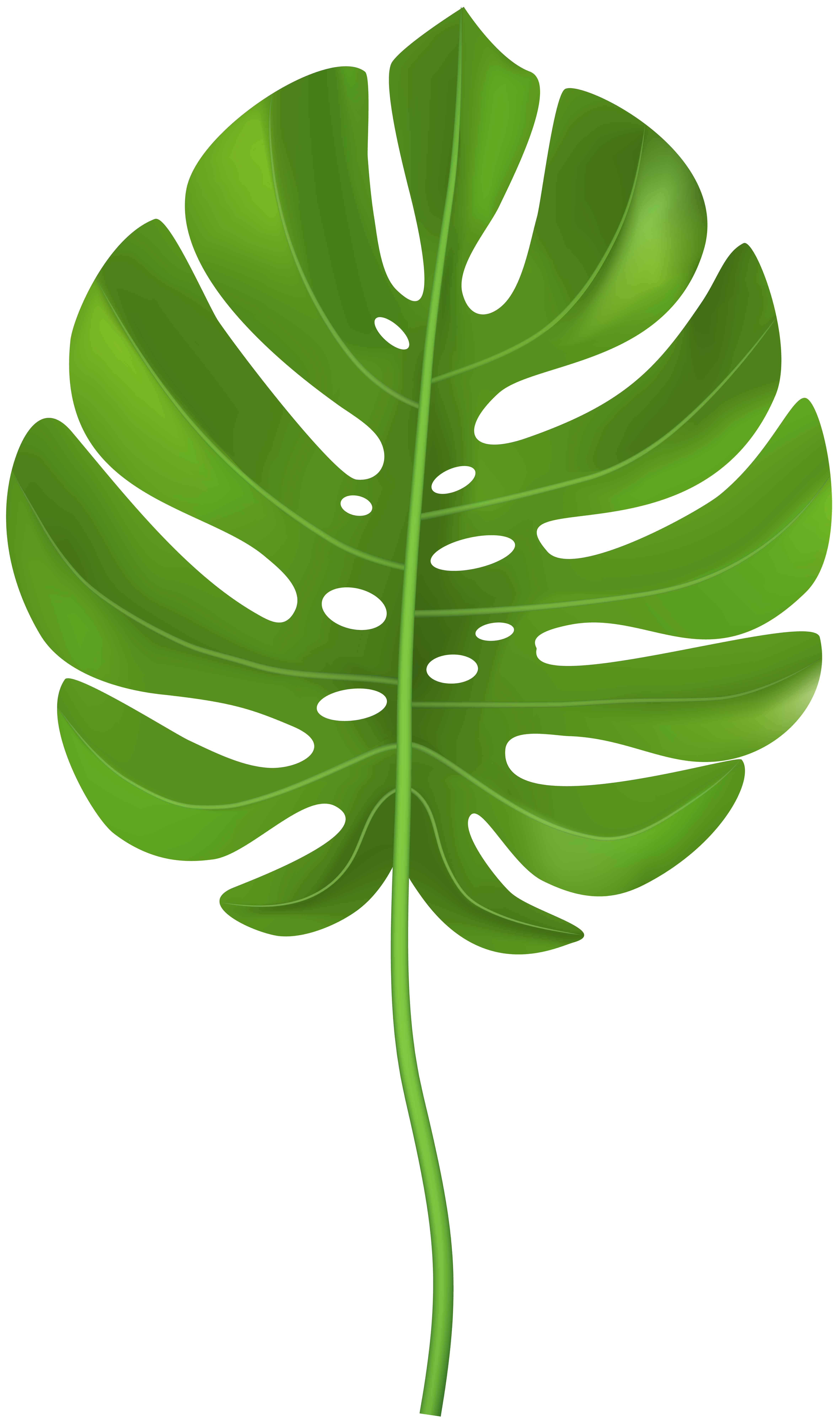 Tropical Palm Png 10 Free Cliparts Download Images On Clipground 2024