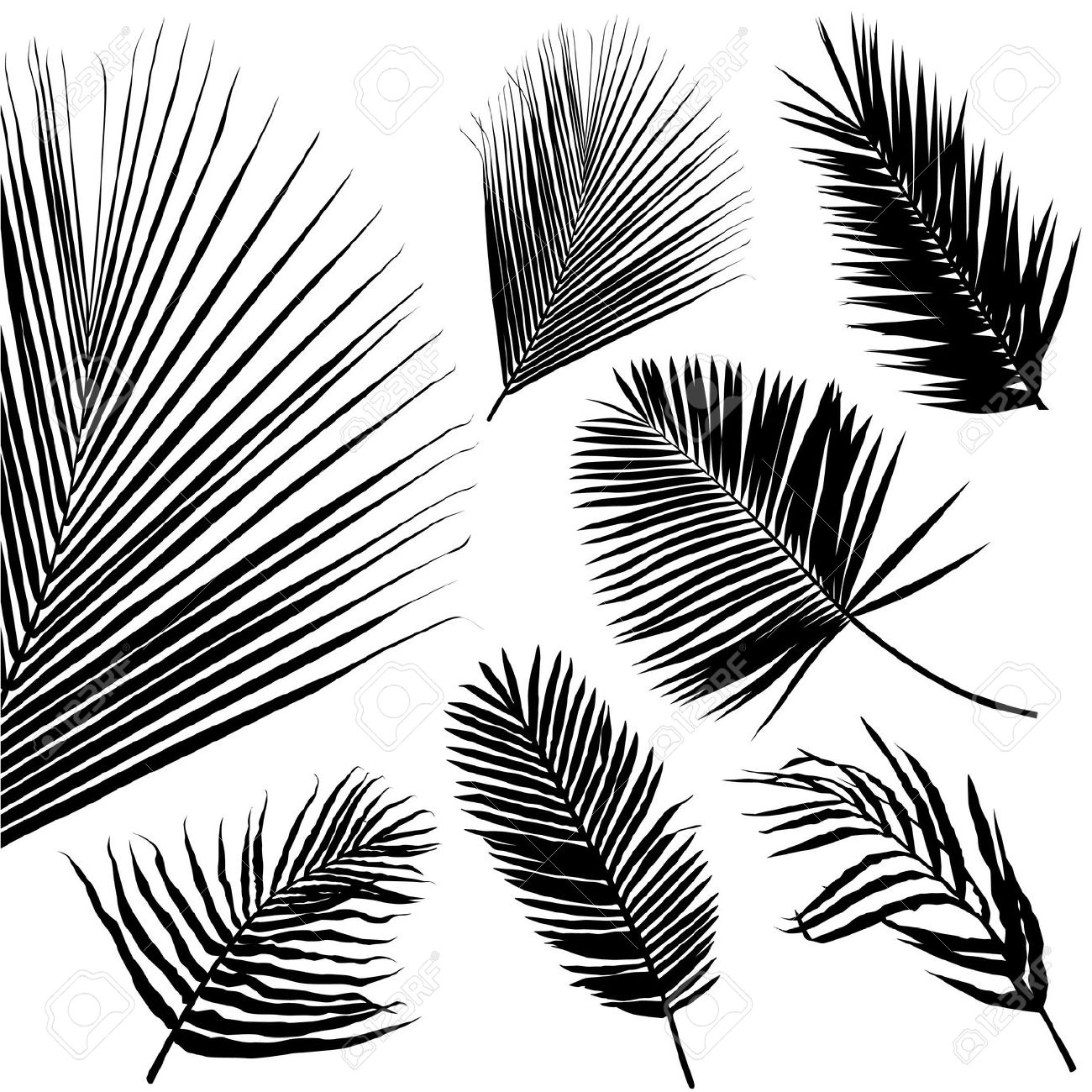 Free Palm Branch Cliparts, Download Free Clip Art, Free Clip.