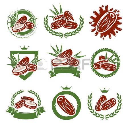 337 Palm Seed Stock Illustrations, Cliparts And Royalty Free Palm.