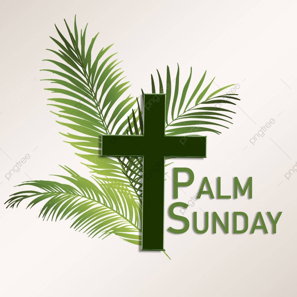 palm sunday png 10 free Cliparts Download images on Clipground 2023