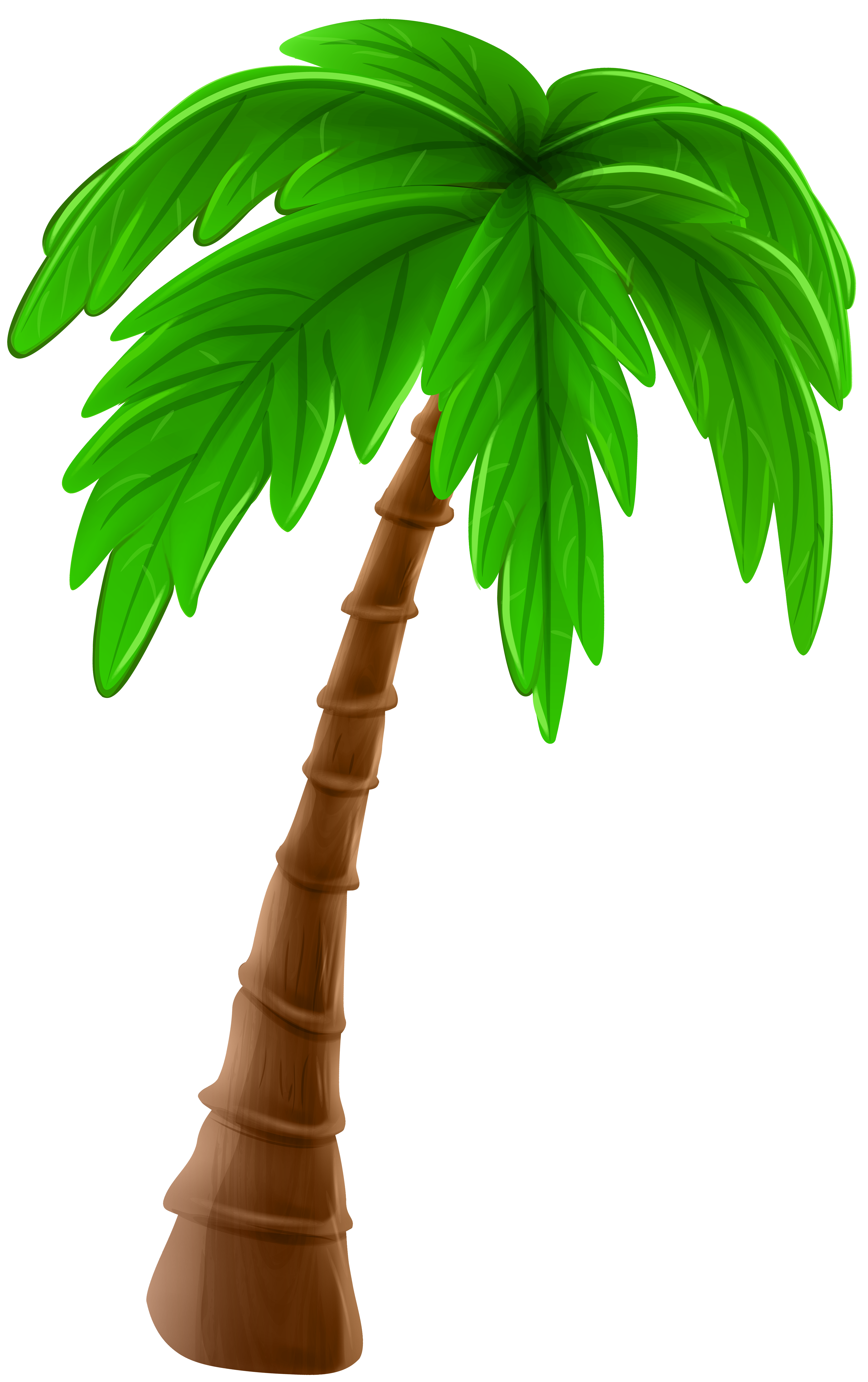 Palm Tree Cartoon PNG Clip Art Image.