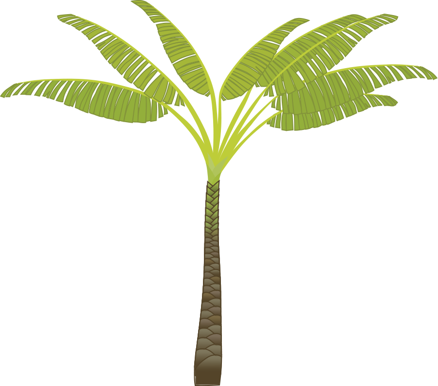 Free Picture Of A Palm Tree, Download Free Clip Art, Free.