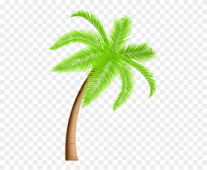 Download Palm Tree Png Png Images Background.