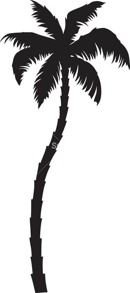 Vector Palm Tree Royalty.