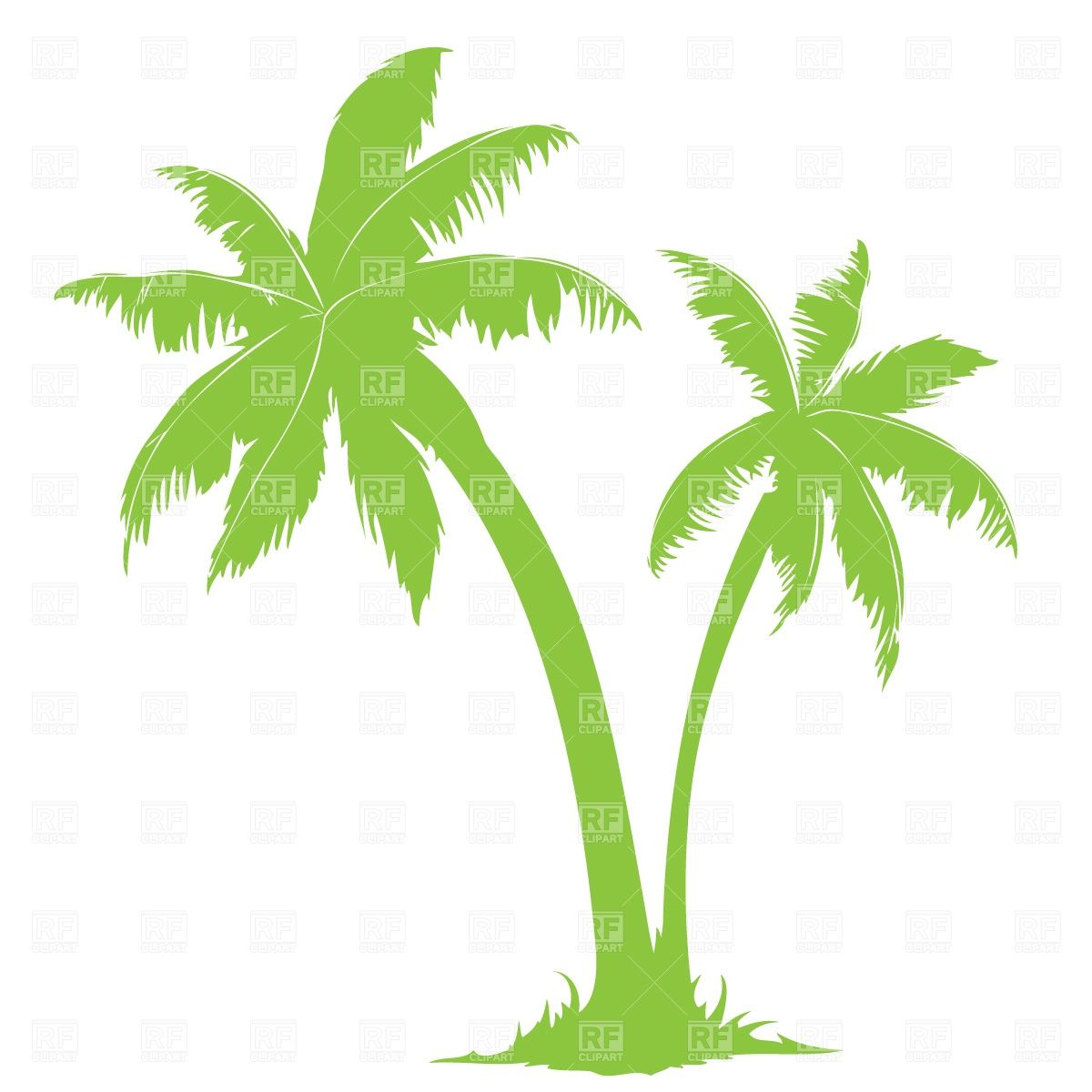 Palm tree silhouette Vector Image.
