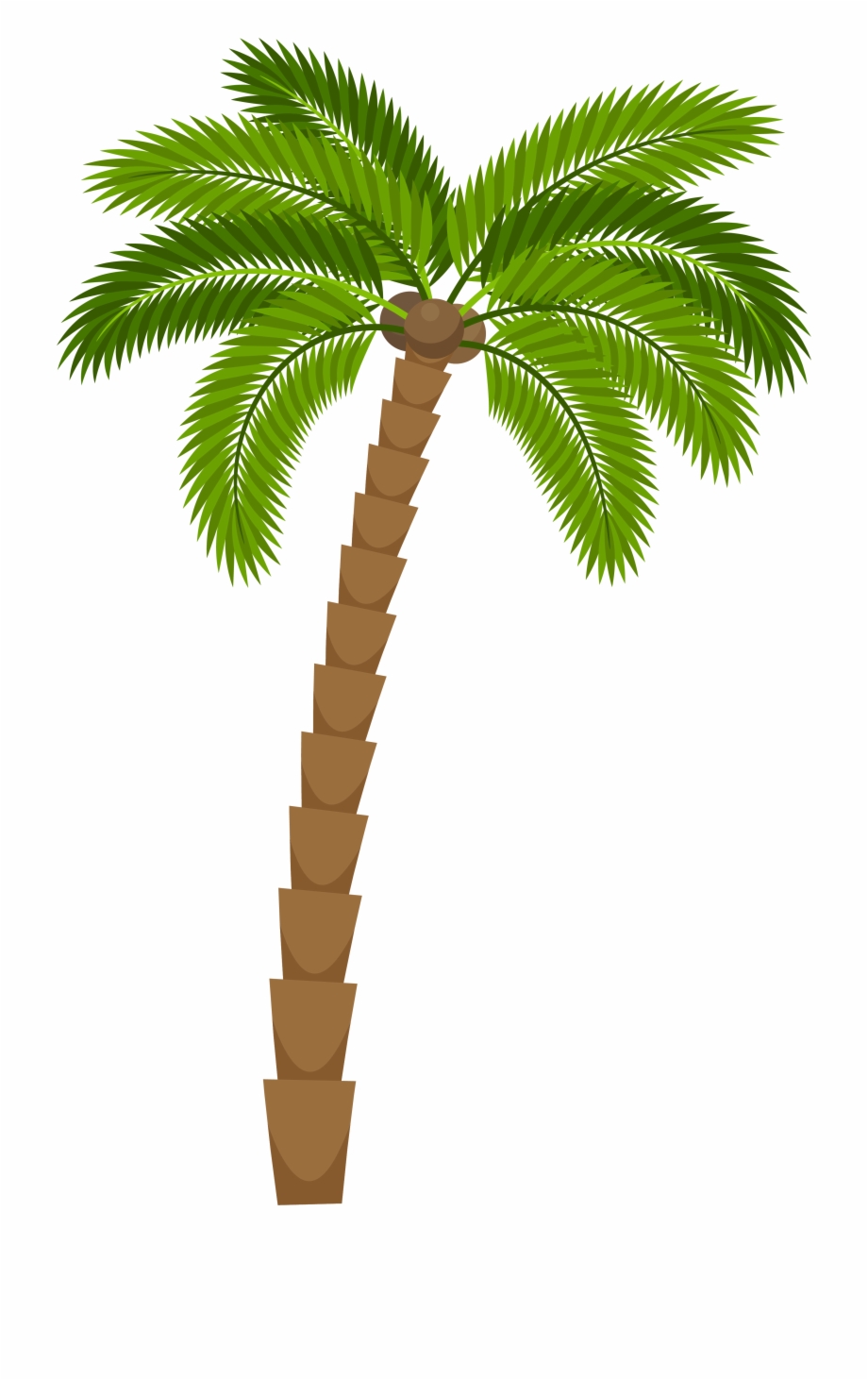 palm tree drawing png 10 free Cliparts | Download images on Clipground 2021