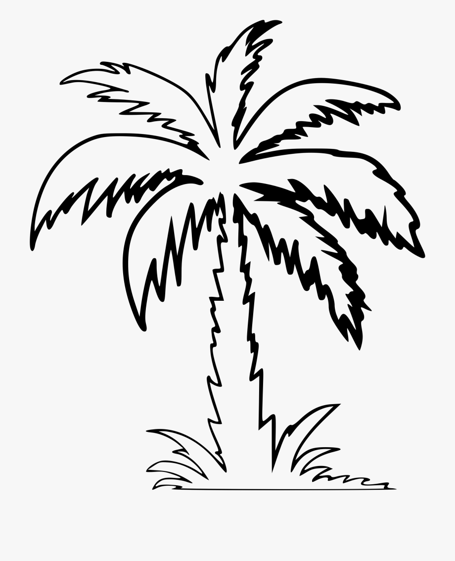 Free Palm Tree Clip Art Black And White : Palm Tree Outline Clip ...