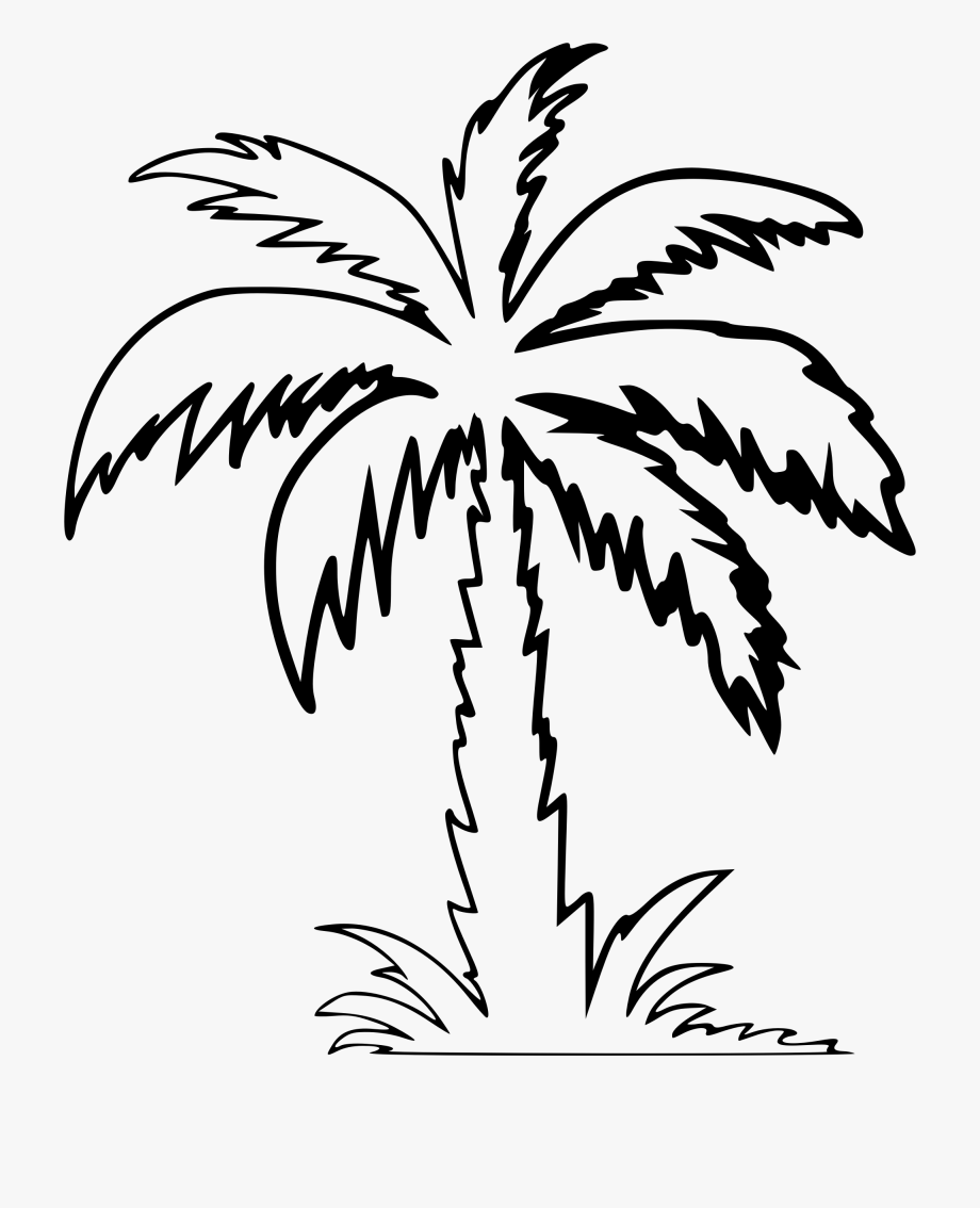 Palm Tree Outline Clip Art 10 Free Cliparts Download Images On 
