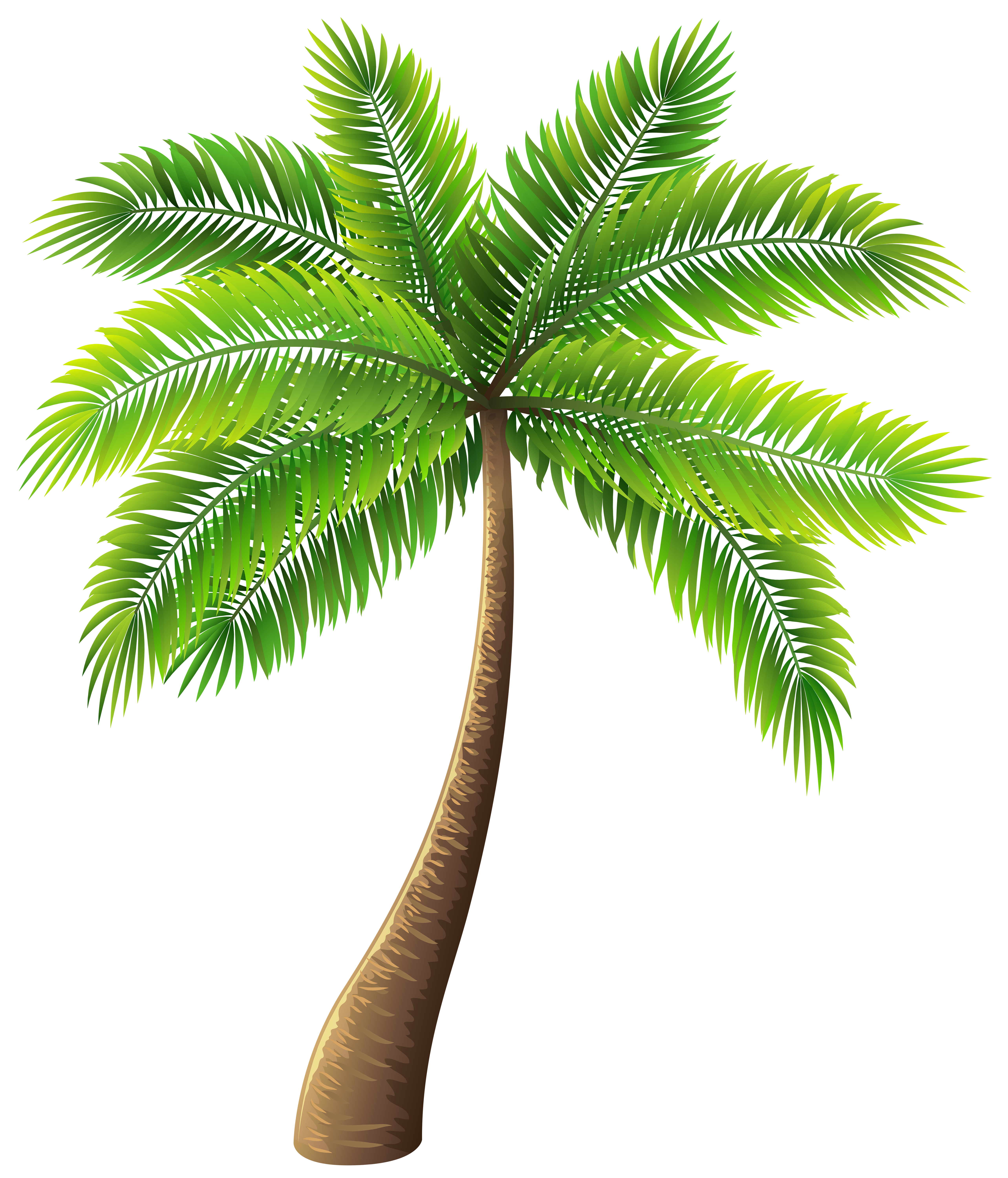 Free Simple Cartoon Palm Tree Clipart Clipart Png And Vector Image - Vrogue