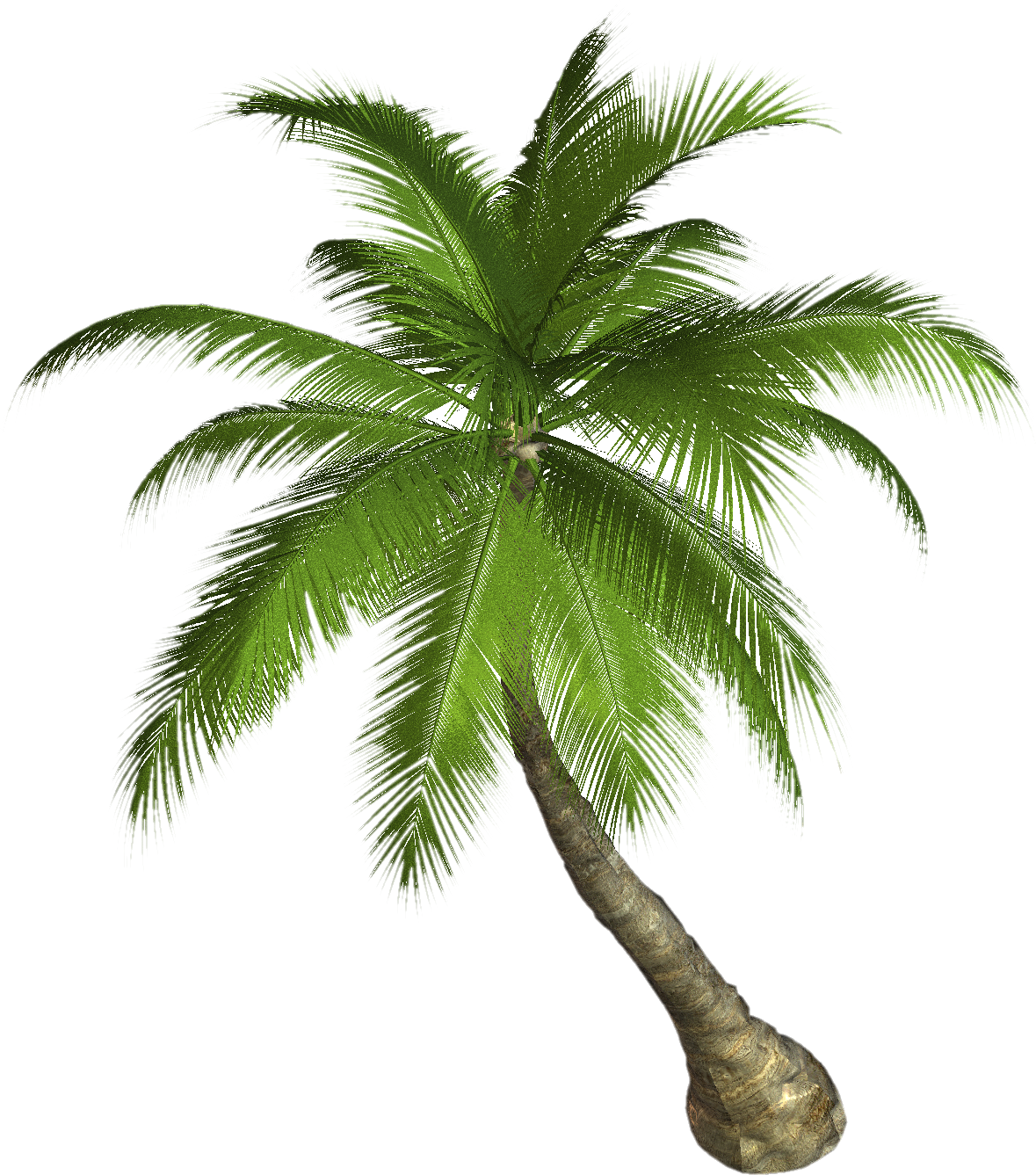 Palm tree PNG images, download free pictures.
