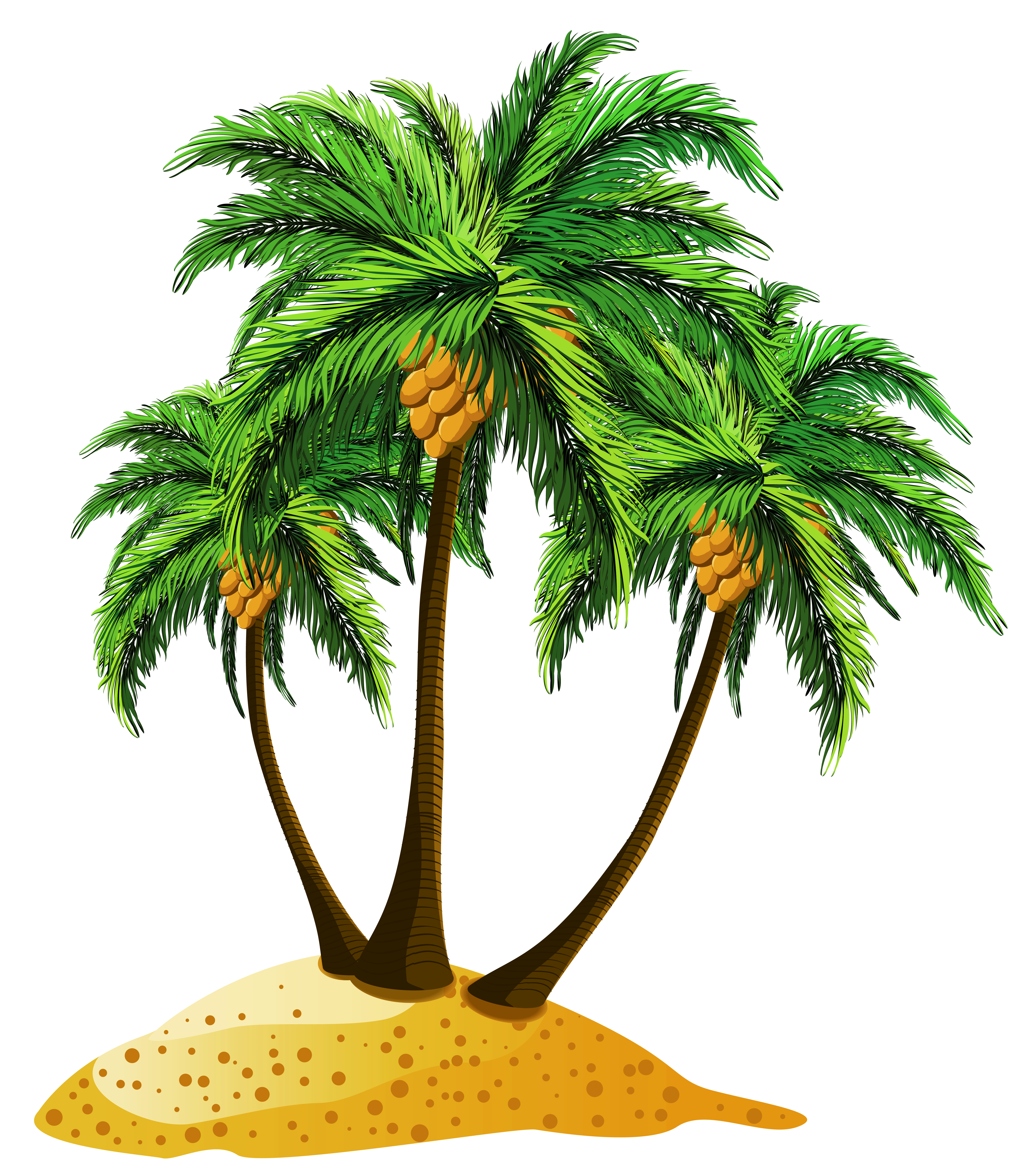 Palms clipart 20 free Cliparts Download images on 