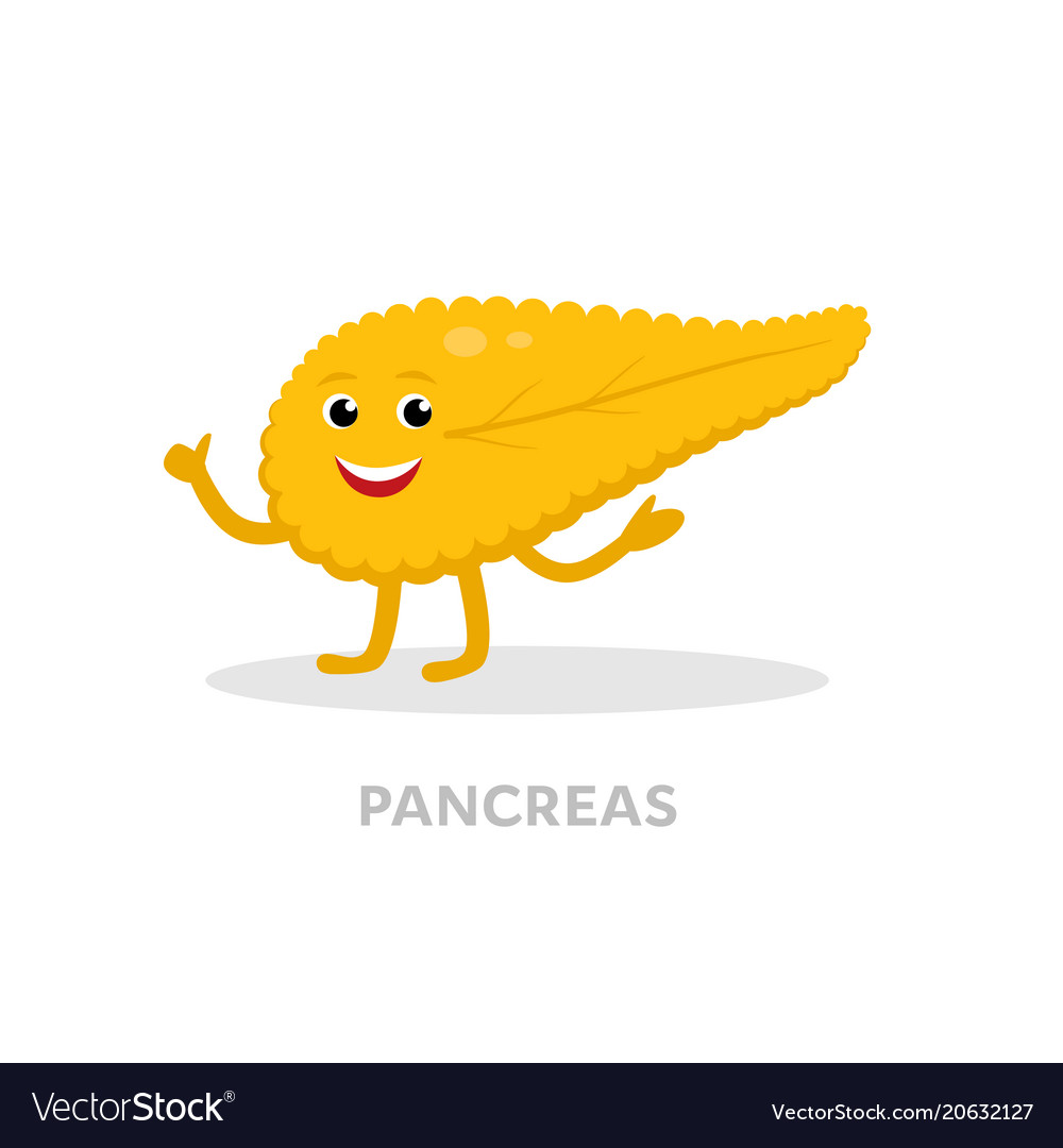 Strong healthy pancreas cartoon character isolated.