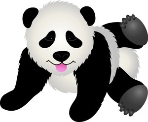 Panda Bear.