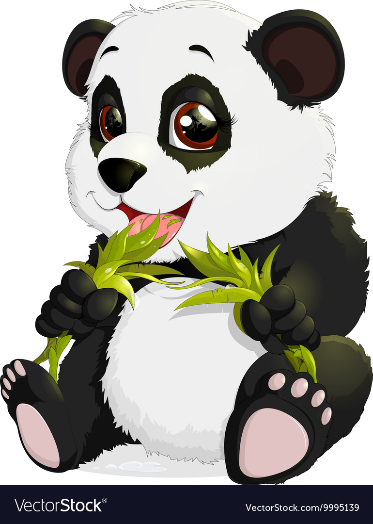 Very cute Panda eating bamboo.