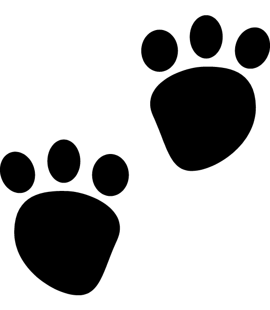 Leopard clipart panda paw, Leopard panda paw Transparent.