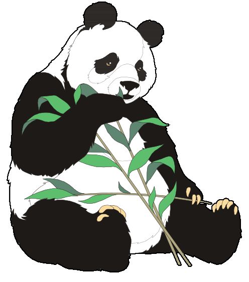 1000+ images about Panda Cuties ♥✳♥ on Pinterest.