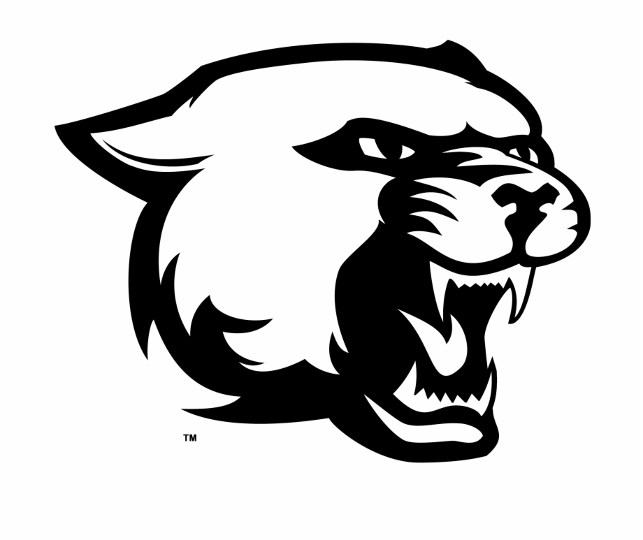 Free Panther Head Clipart Image.