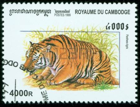 176 Panthera Tigris Tigris Stock Vector Illustration And Royalty.