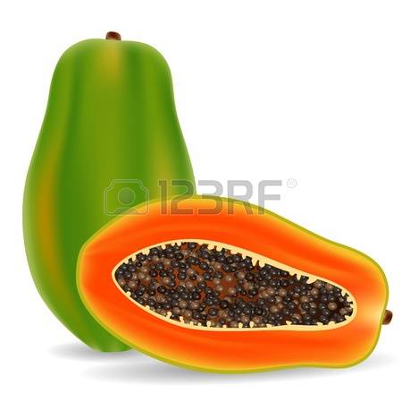 2,685 Papayas Cliparts, Stock Vector And Royalty Free Papayas.