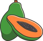 Papaya Clipart.