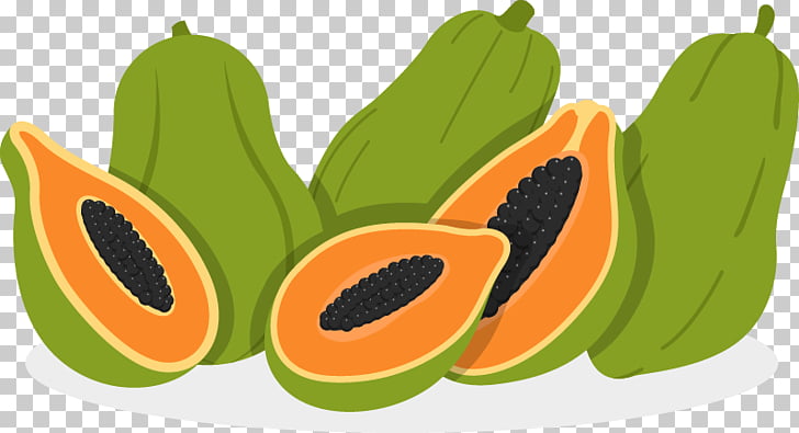 Papaya Euclidean Fruit Illustration, papaya PNG clipart.